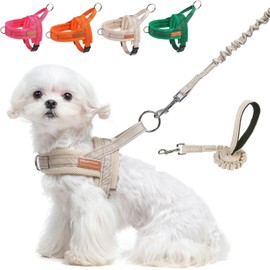 BEAUTYZOO Dog Harness for Small Dogs, No Pull Dog Harness and Leash Set, Soft Escape Proof Puppy Vest Harness with Handle, Reflective Lightweight Step in Harness for Girl Boy Dogs, Beige S