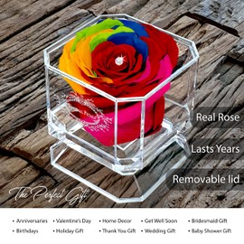 A 100% Real Rose That Lasts Years - Eternal Petals, Handmade in UK – White Gold Solo with A Multicolour Crystal (Rainbow)