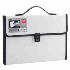 LI-GELISI Accordion Expanding File Folder,13-Pockets,A4 Size,Handle and Tabs,Buckle Closure (White)