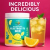 Electrolyte Powder – Zero Sugar Lemon Hydration Mix | 90