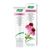 A.Vogel Echinacea Cream | Daily Face Moisturiser | Suitable for
