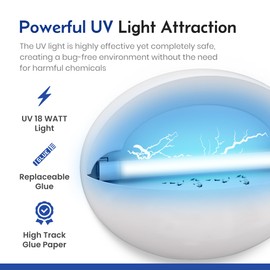 Indoor Fly Trap – Wall-Mounted Bug Catcher for Fruit Flies, Gnats, Mosquitoes & Moths – Insect Killer with Sticky Glue Boards (Included)