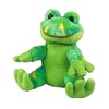 Record Your Own Plush 8 Inch Freddy The Frog -