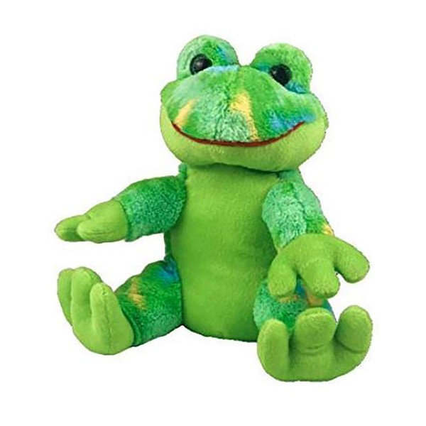 Record Your Own Plush 8 Inch Freddy The Frog - Ready 2 Love in a Few Easy Steps
