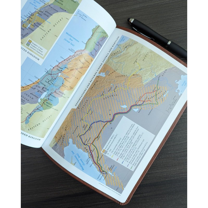 NLT Life Application Study Bible, Third Edition (Genuine Leather, Brown,