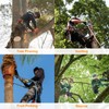 Xiholeruf Tree Climbing Spikes Kit, Tree Climbing Gear, Adjustable Arborist