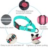haapaw 2 Packs Martingale Dog Collar with Quick Release Buckle