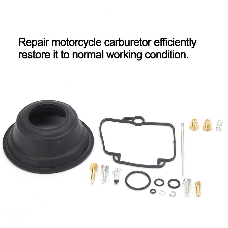 Carburetor Rebuild Kit Carb Overhaul Repair Fit for Suzuki DR350