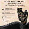 Kaisasa Shampoo Con Tinte Cubre Canas Con Aceite De Argn