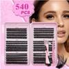 Individual Eyelashes Cluster Lashes Kit 80D+100D+120D Wispy Cluster Lashes D