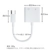 Type C Earphones, Convert, 2 in 1, 0.1 inch (3.5