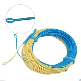 Aventik Fly Fishing Line Weight Forward Floating Fly Line With Exposed Loop Line ID (Sky blue+milk, 6F)