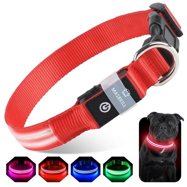 Light up Dog Collar for Night Walking, Rechargeable Waterproof LED