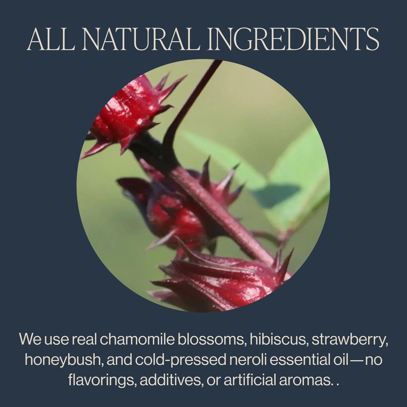 Rishi Tea Garden Party Herbal Tea - Organic, Caffeine Free