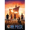 ONE PIECE LIVE REACTION - Set Sail - Poster 61x91cm