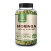 Moringa Nopal y Cromo Raíces Zen 120 Cápsulas (120 Cápsulas)
