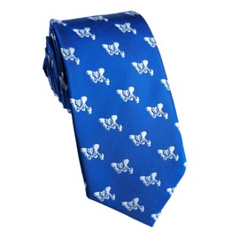 Maker V Doctor - Corbata de radiología para el médico, Corbata para el cirujano, Corbata para el médico, Corbata para enfermera, regalo médico para hombres, Hip Bones Blue, Talla única