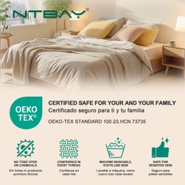 NTBAY Standard Pillow Shams - 2 Pack Brushed Microfiber 20x26 Sham Covers - Super Soft and Cozy, Wrinkle, Fade, Stain Resistant 20x26 Inches Oxford Pillowcases, White