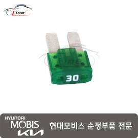 Hyundai Mobis Fuse Micro (30A) 18790 05265 / 퓨즈 마이크로(30A) 18790 05265