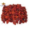 Gourmet 40 DRIED CAROLINA REAPER PEPPER Pods - WORLDS HOTTEST
