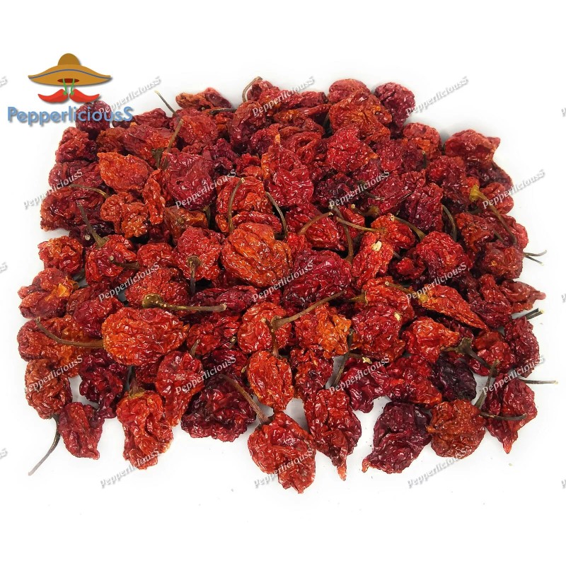 Gourmet 40 DRIED CAROLINA REAPER PEPPER Pods - WORLDS HOTTEST