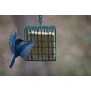 C&S Double Suet Basket 6.4 Ounces