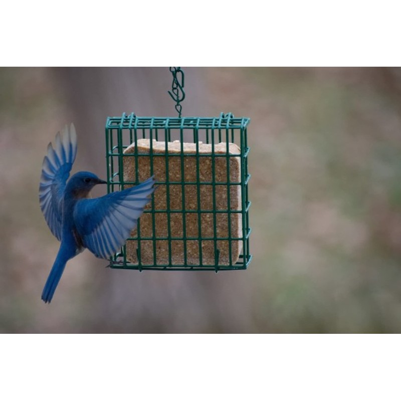 C&S Double Suet Basket 6.4 Ounces