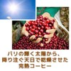 Coffee Beans [Powder] Freshly Roasted for the Best Delicious Caffeine-less