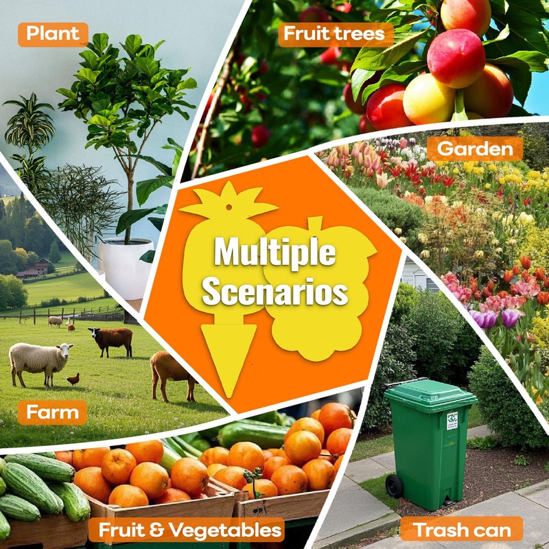 Mosalogic Fruit Fly Trap for Indoor 60 Pack Fungus Gnat