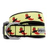 The Worthy Dog Chili Pepper Collar for Dogs & Puppies