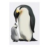 'Penguin Family' Temporary Tattoo - Water Resistant, Skin-Safe, Non-Toxic Transfer
