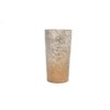 Horie 新潟 Prefecture could Made in Titanium Double Wall Tumbler