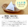 Tea Tsumi no Sato Japanese Wormwood Tea Bag 0.1 oz