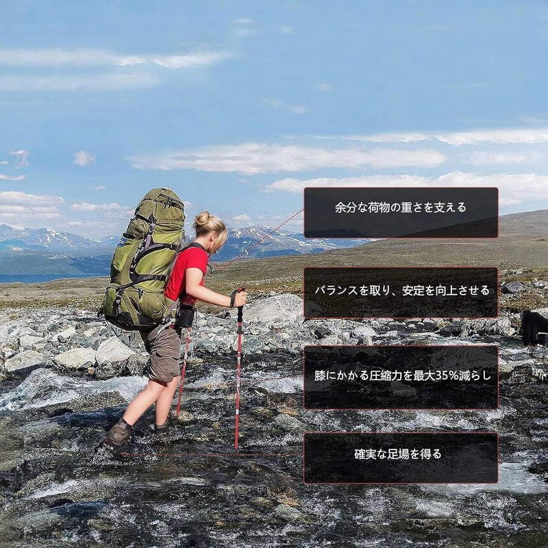 BISINNA Trekking Poles Collapsible Lightweight Climbing Sticks 2 Piece Set