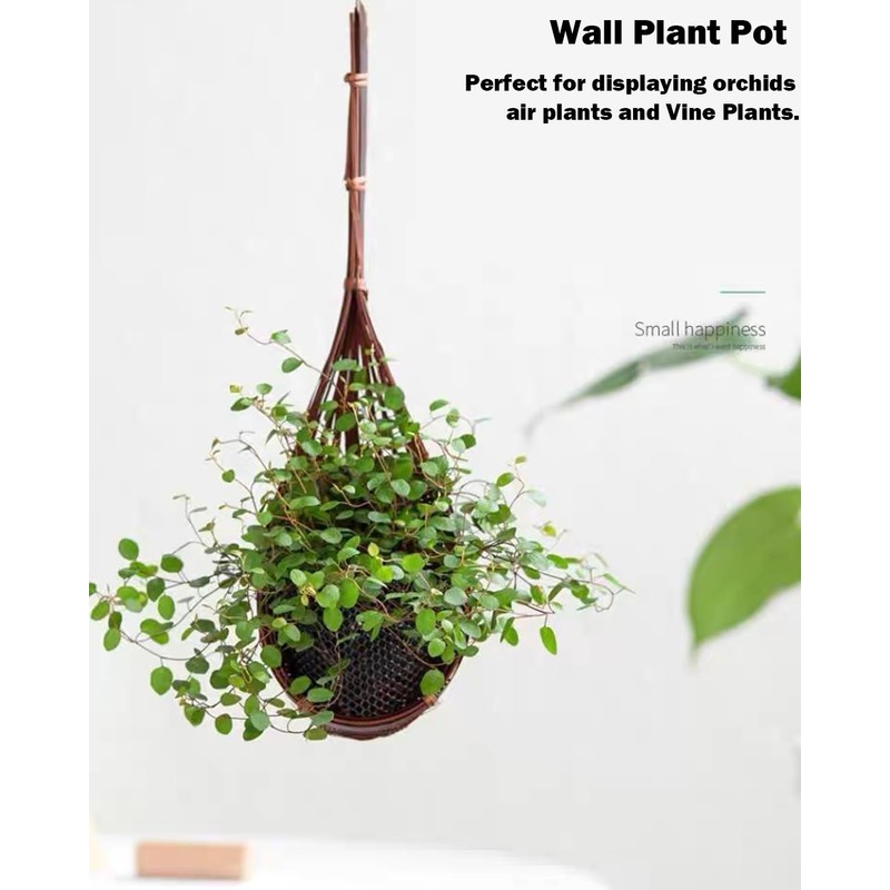 Hanging Orchid Planter Plant Pot: 5 Packs Bamboo Flower Basket