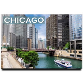 Chicago Fridge Magnet Illinois Travel Souvenir