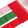 Iran Iranians Flag WindSock 2 Pack Stripes Wind Socks for