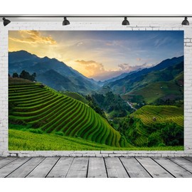 CORFOTO 6x4ft Fabric Green Rice Terraces Backdrop Rural Green Rice Fields Mountains Countryside Scenery Background Nature Rural Outdoor Travel Photo Studio Wall Decor Props