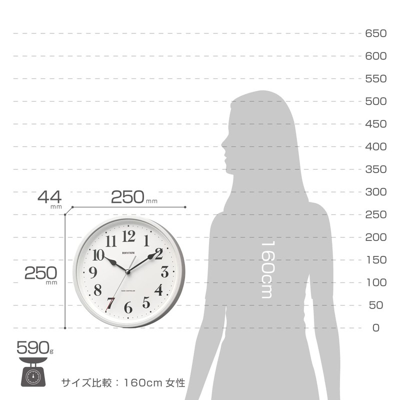 RHYTHM 8MY566SR03 Wall Clock, Radio Clock, Single Time, Small, Dual
