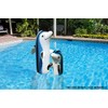 Poolmaster 81440 Floating Swimming Pool Backyard Décor, Dolphin Large