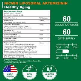 NICMIN Liposomal Artemisinin Supplement 1000mg, Sweet Wormwood Extract with 200mg Quercetin Phytosome, Maximum Absorption for Antioxidant 120 Capsules