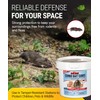 Kaput Adios Combo Bait Cubes – Dual-Action Rodenticide + Insecticide