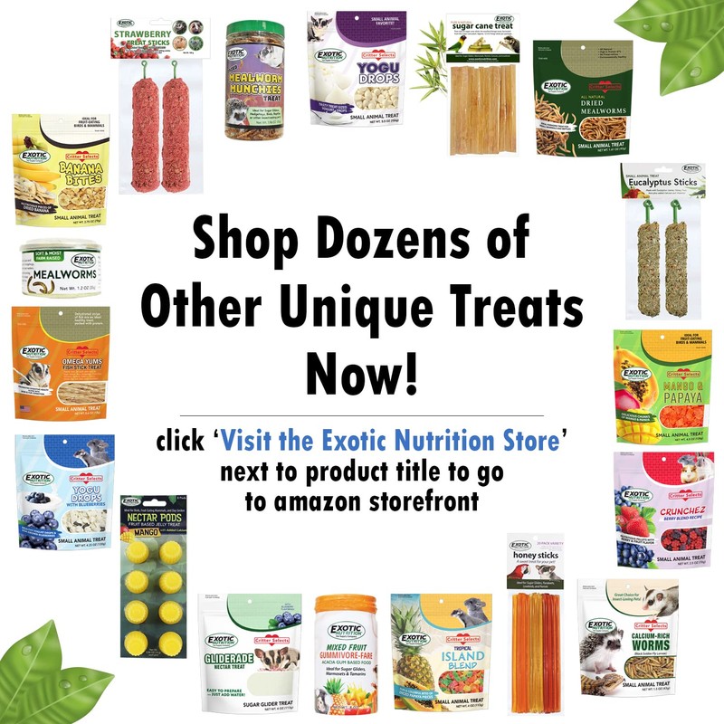 Exotic Nutrition Squirrel Beneficial Blocks - Healthy & Unique Supplemental