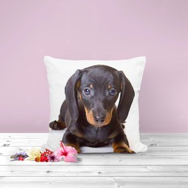 The Beach Stop Decorative Dachshund Dog Scatter Cushion Cover | Home Decor Gift Idea | 45x45cm 18x18” | Dachshund Puppy