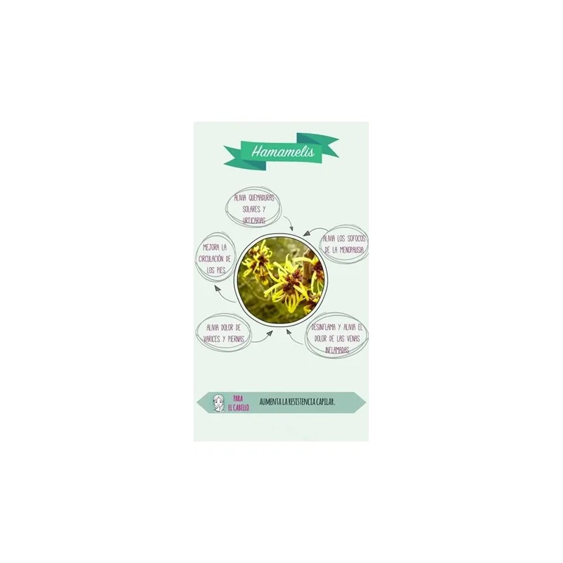 Agua De Rosas Con Agua De Hamamelis Tónico Facial 5
