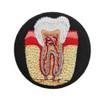 Cute-Patch Anatomical Tooth Dental Nerve Embroidered iron on Patch Dentist