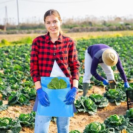 Harvest Apron for Garden Vegetables - Egg Collecting Apron | Waterproof Egg Collecting Bag for Farm, Portable Berry Harvest Gathering Pouch