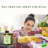 Wnmaicer Organic Tea Tree Oil 4 Fl Oz - 100%