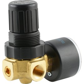 Fitting Parts Pressure Regulator for Water and Compressed Air Mini 330 l/min Pressure Regulator (Thread Size: G 1/8 Inch - Control Range: 0.1-3 bar)