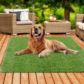 XLX TURF 5 FT x 5 FT Outdoor Artificial Grass for Dogs Potty, Realistic Fake Grass Turf Carpet for Patio Balcony Floor Covering with Drainage Holes